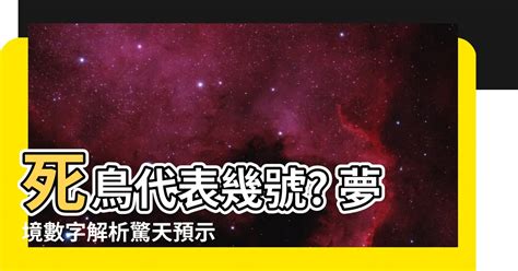 小鳥代表幾號|【鳥代表數字】揭密鳥代表數字的秘密：飛羽傳遞的神秘符號